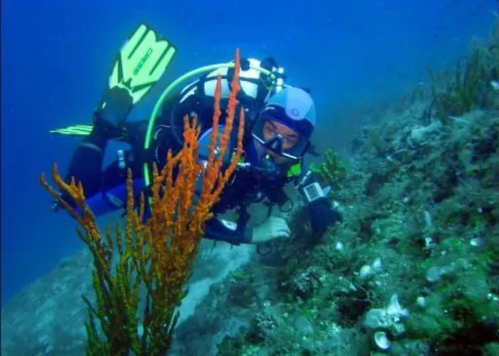 Ruhiges Mit Terrasse In Strandnaehe By Interhome アパート ザダル